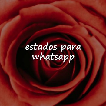 estados para whatsapp - 2026