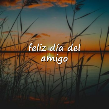 feliz día del amigo - 2026