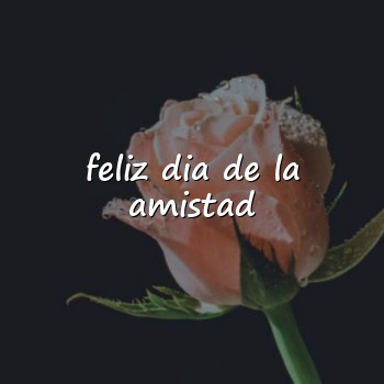 feliz dia de la amistad - 2026