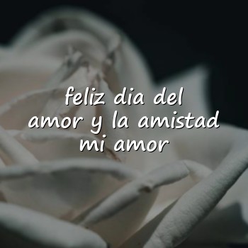 feliz dia del amor y la amistad mi amor - 2026