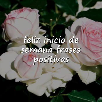 feliz inicio de semana frases positivas - 2026