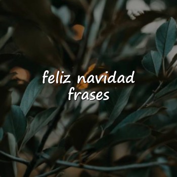 feliz navidad frases - 2026