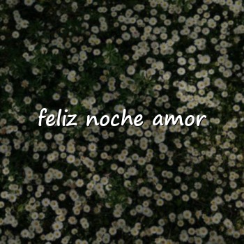 feliz noche amor - 2026