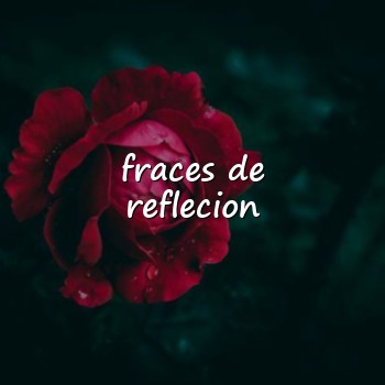 fraces de reflecion - 2026