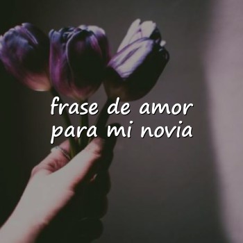 frase de amor para mi novia - 2026