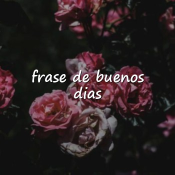 frase de buenos dias - 2026