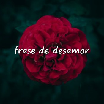 frase de desamor - 2026