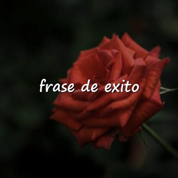 frase de exito - 2026