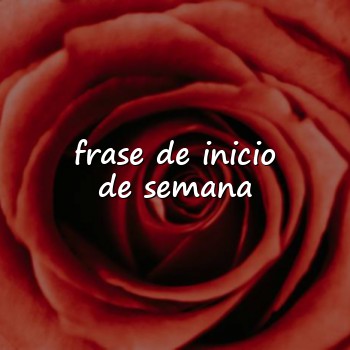 frase de inicio de semana - 2026