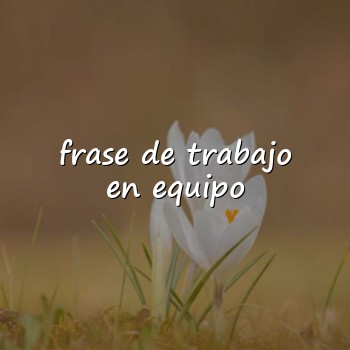 frase de trabajo en equipo - 2026