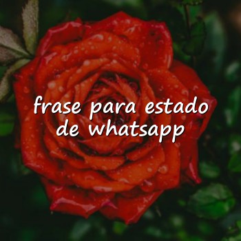 frase para estado de whatsapp - 2026