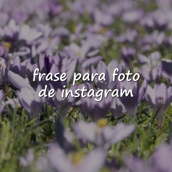 frase para foto de instagram - 2026