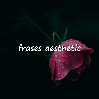frases aesthetic - 2026