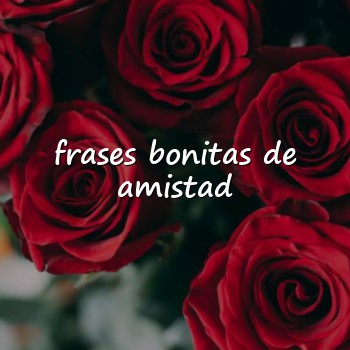 frases bonitas de amistad - 2026