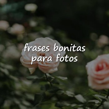 frases bonitas para fotos - 2026