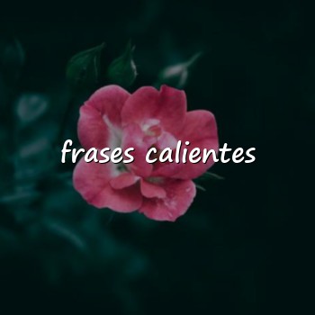 frases calientes - 2026