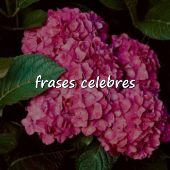 frases celebres - 2026