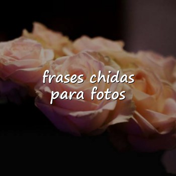 frases chidas para fotos - 2026