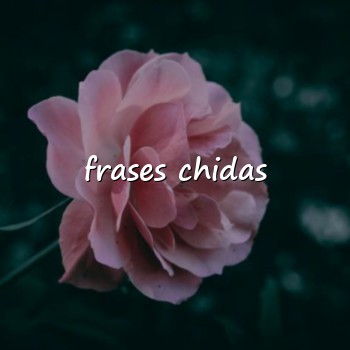 frases chidas - 2026
