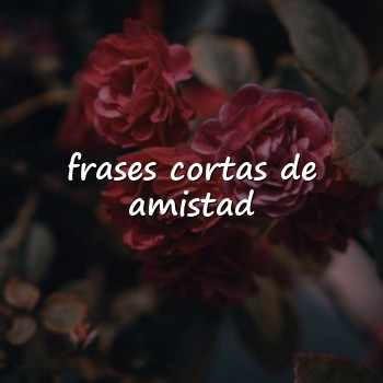 frases cortas de amistad - 2026