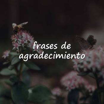 frases de agradecimiento - 2026