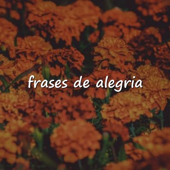 frases de alegria - 2026