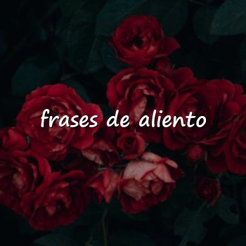 frases de aliento - 2026