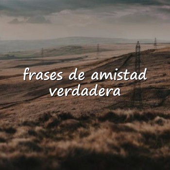 frases de amistad verdadera - 2026