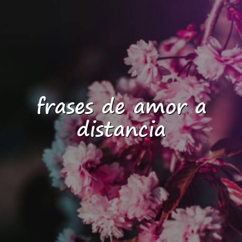 frases de amor a distancia - 2026