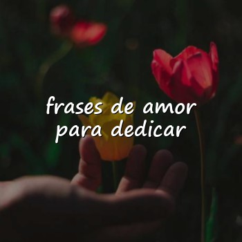 frases de amor para dedicar - 2026