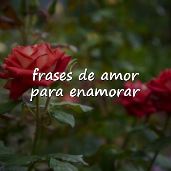 frases de amor para enamorar - 2026