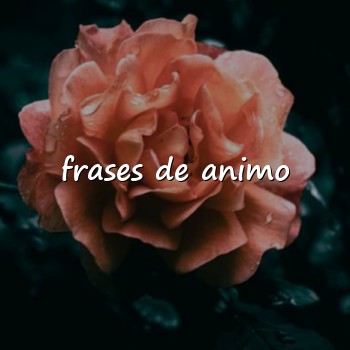frases de animo - 2026