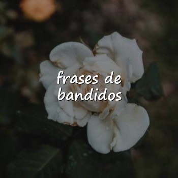 frases de bandidos - 2026