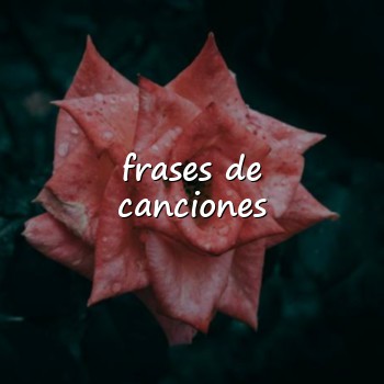 frases de canciones - 2026