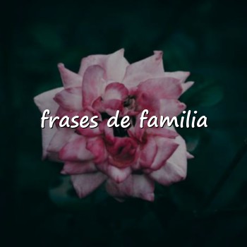 frases de familia - 2026