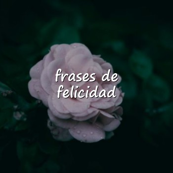 frases de felicidad - 2026