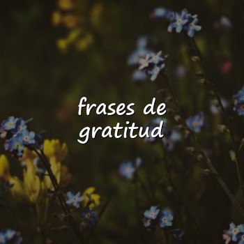 frases de gratitud - 2026