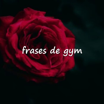 frases de gym - 2026