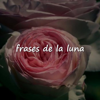 frases de la luna - 2026