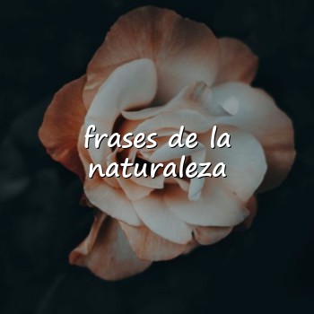 frases de la naturaleza - 2026