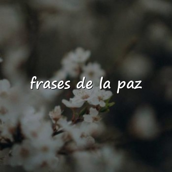 frases de la paz - 2026