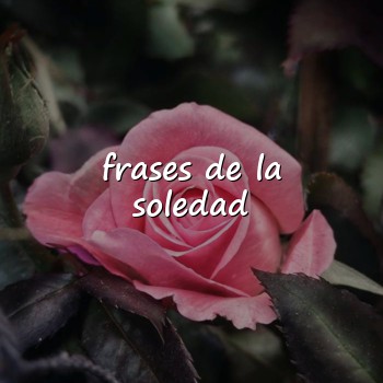 frases de la soledad - 2026