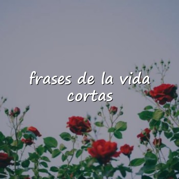 frases de la vida cortas - 2026