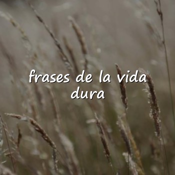 frases de la vida dura - 2026
