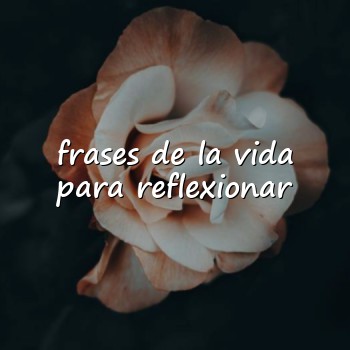 frases de la vida para reflexionar - 2026