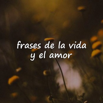 frases de la vida y el amor - 2026