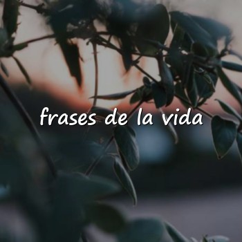 frases de la vida - 2026