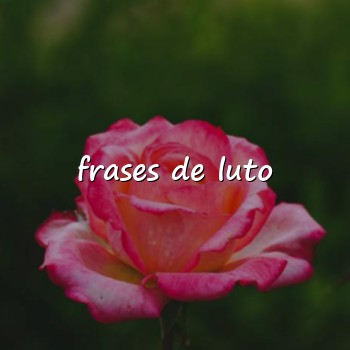 frases de luto - 2026