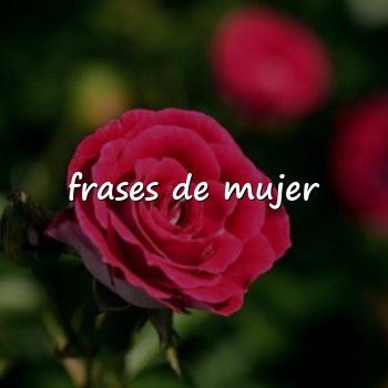 frases de mujer - 2026