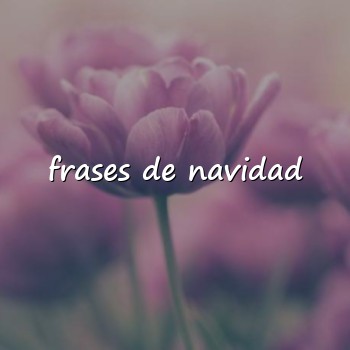 frases de navidad - 2026